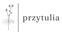 Logo tekstowe - strona główna